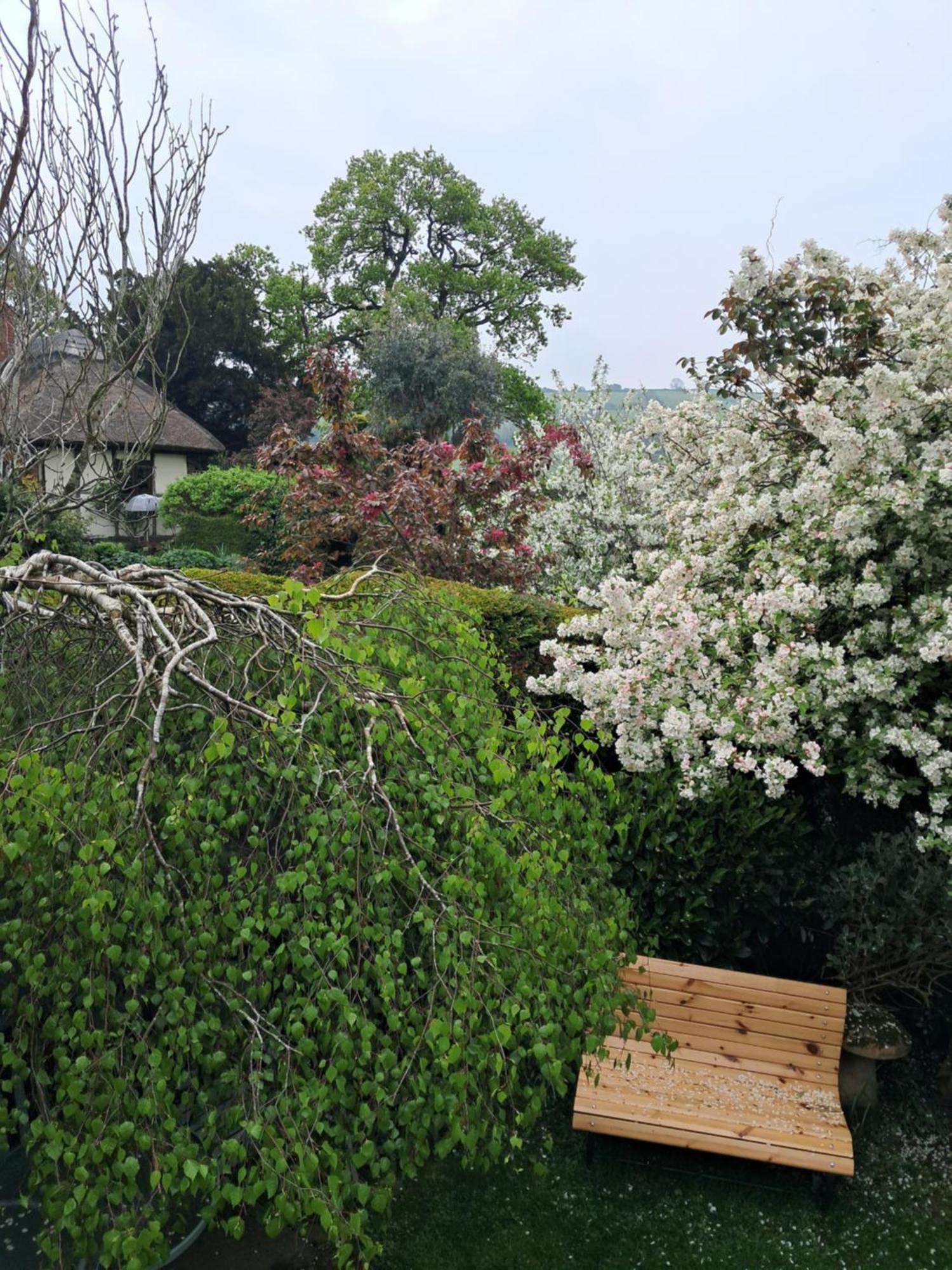 Parrs Cottage Wollaston  Εξωτερικό φωτογραφία