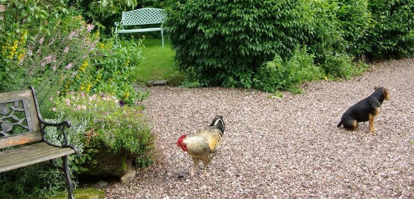 Parrs Cottage Wollaston  Εξωτερικό φωτογραφία